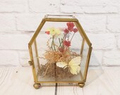 Vintage Brass Glass Flower Display Case