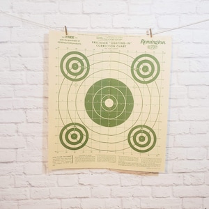 Vintage Remington Shooting Targets, Set of 10