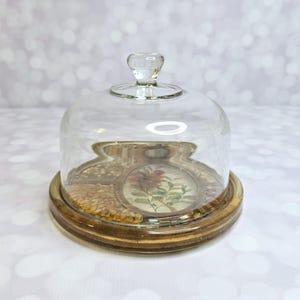 Vintage Käseglocke Glasglocke