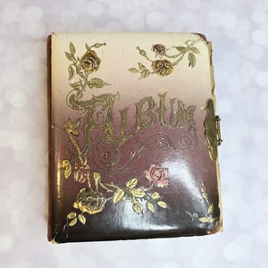 Antique Cabinet Card Photo Album