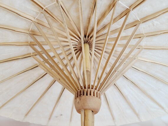 Vintage Paper Parasol - image 8