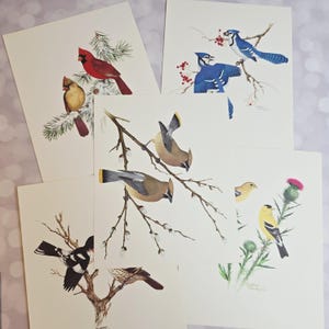 Cartera de coleccionista vintage con láminas artísticas de pájaros cantores, juego de 5