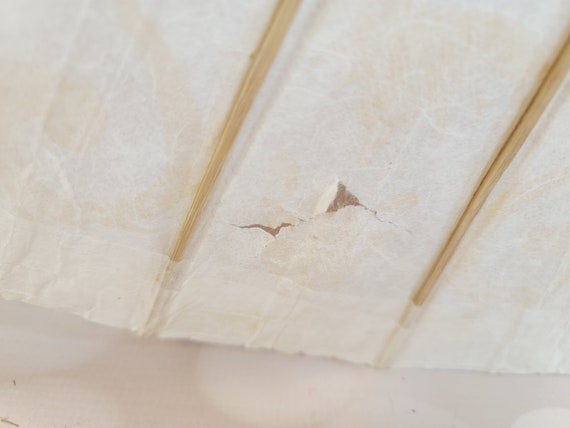 Vintage Paper Parasol - image 5