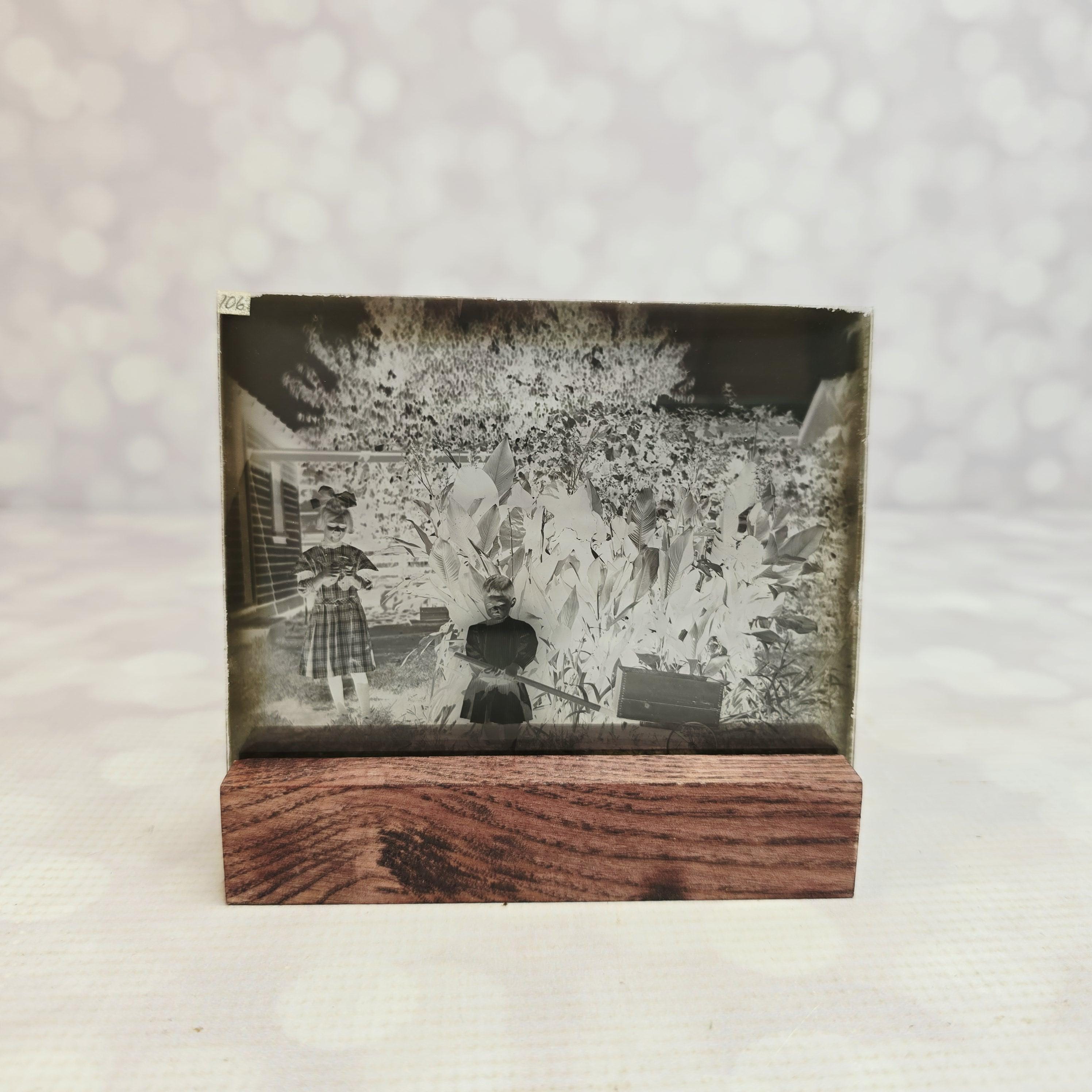 Antique Photo of Kids, Velox Glass Negative, 1909