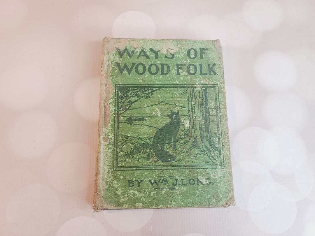 Antique Ways of Wood Folk 1902 William J Long Etsy