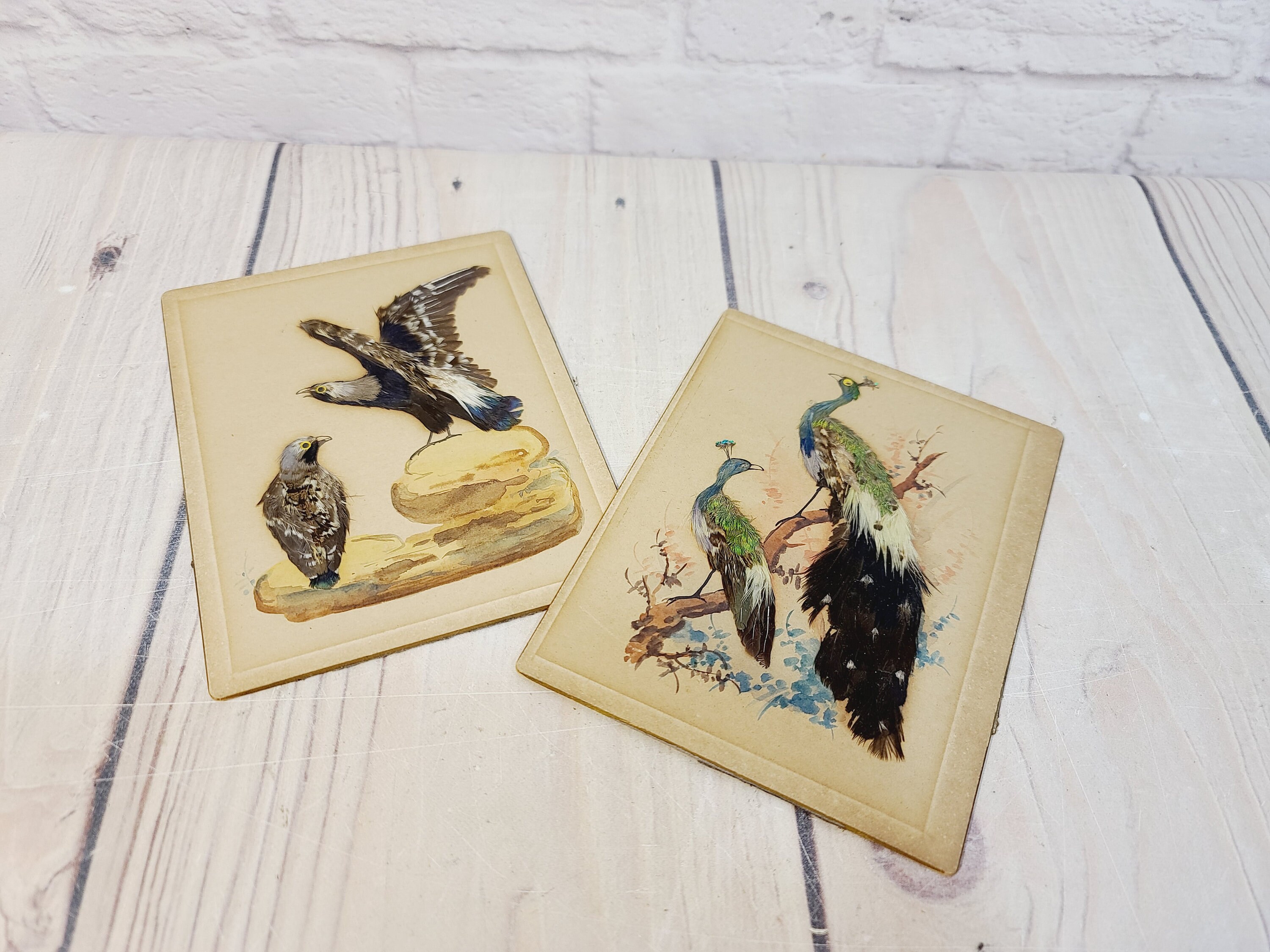 Vintage Feather Art Set of 2 | Etsy