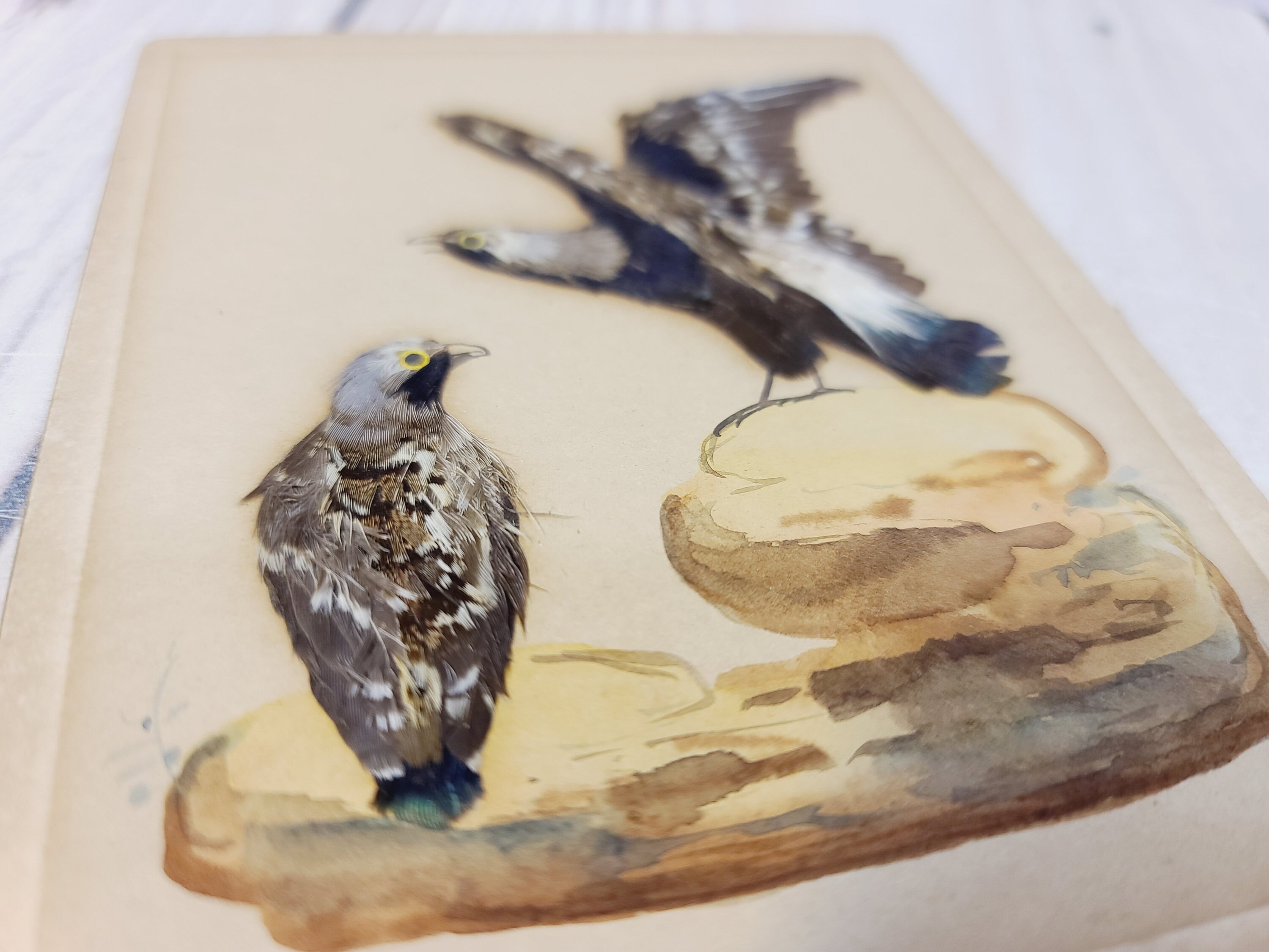 Vintage Feather Art Set of 2 | Etsy