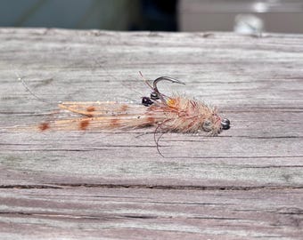 Tidal Tarantula Shrimp