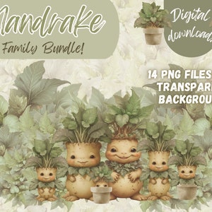 May include: A digital download of 14 PNG files featuring a family of mandrake characters with transparent backgrounds. The mandrakes are depicted as humanoid figures with leafy green hair and smiling faces. The text "Mandrake Family Bundle!" is displayed at the top of the image.