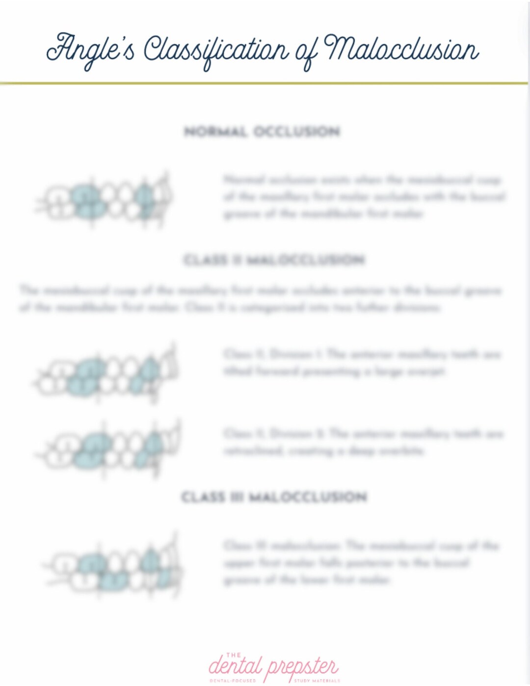 Angle's Classification of Malocclusion Dental Study Guide - Etsy
