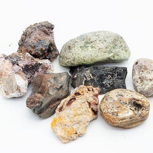 May include: A collection of eight different rocks in various shapes, sizes, and colors, including black, brown, white, green, and orange.