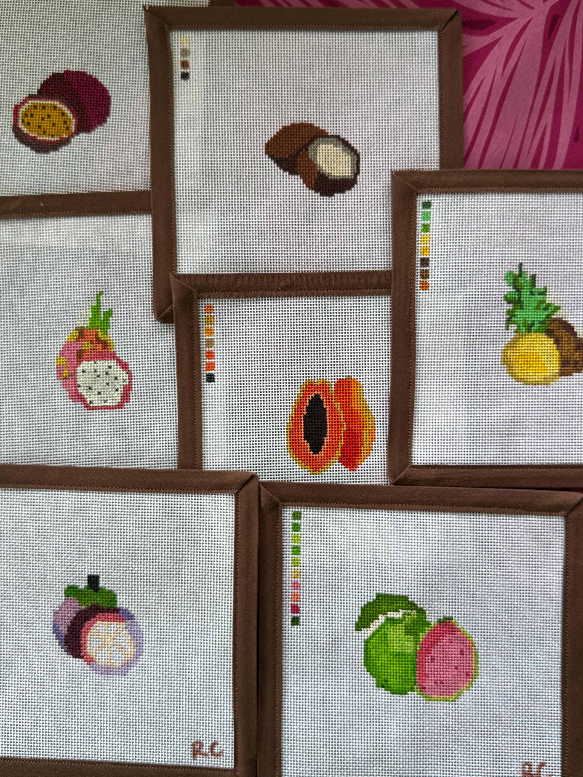 Tropical Fruit Minis | 18 Mesh, Hand-painted Needlepoint Canvas - Etsy