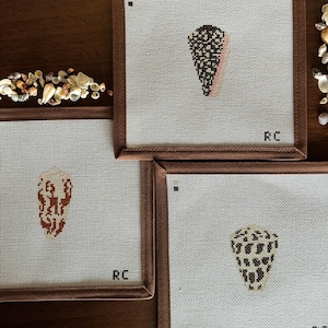 May include: Three square needlepoint canvases with brown borders, each featuring a different seashell design. The shells are rendered in various colors, including black, brown, and beige, against a white background. The initials "RC" are visible on each canvas.
