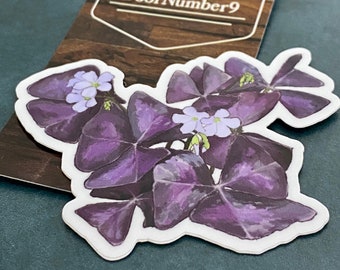 Water Bottle Sticker, Purple Clover, Oxalis Triangularis, Garden plant sticker, original illustration art