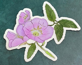 Pink Evening Primrose Vinyl Sticker, Texas Wildflower water bottle decal