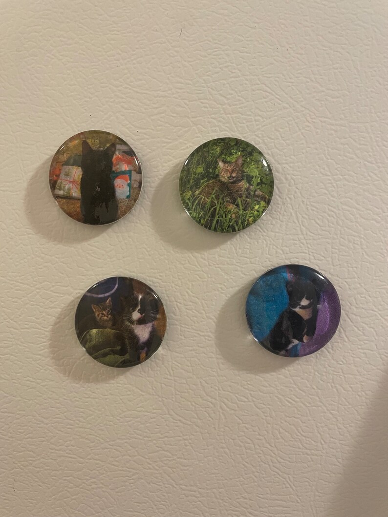 Custom Glass Magnet- 3cm Set of 4 - Etsy