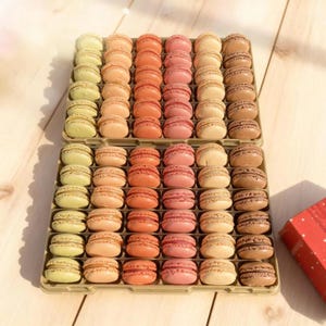 Macarons sortidos - Encomendas em grande quantidade para casamentos, eventos e atacado - Sobremesas e doces - Sem glúten