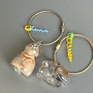 Cute Cat Hair Keepsake Keychain – 3D Pen DIY Name Charm with Fur Inside, Pet Memorial Gift, Personalized for Cat Lovers, Gift for Cat Owners