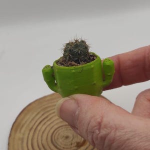 May include: A small green cactus plant in a 3D printed pot shaped like a cactus. The pot has a textured surface and is held in a hand.