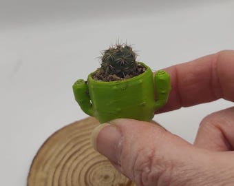 Miniature Plant Pot – 3D Printed PLA, Vibrant Colors