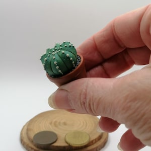 Op de afbeelding: Een miniatuur, groene cactus met witte stippen in een kleine, bruine terracotta pot. De cactus wordt vastgehouden voor een houten schijf met twee munten. De cactus is een gedetailleerd, handgemaakt item.