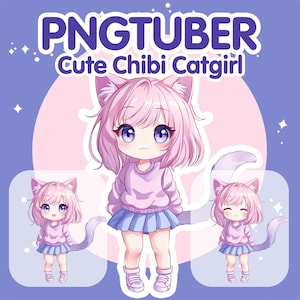 Chibi Pink Catgirl PNGTuber Model | Cute Kitty Girl Avatar | Vtuber | Twitch | Streamlabs | TikTok | OBS | Premade PNG Tuber | Discord