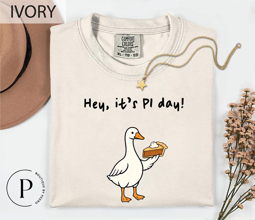 Hey It's Pi Day Shirt, Comfort Colors Silly Goose Pi Day T-shirt, Math ...