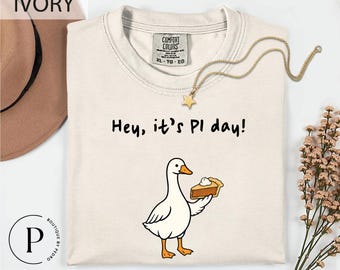 May include: Ivory-colored t-shirt with the text "Hey, it's PI day!" and a cartoon goose holding a slice of pie. A gold necklace with a star pendant is draped across the shirt. The shirt has a Comfort Colors tag.