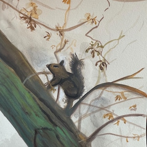 Squirrel on the early morning tree, watercolor original