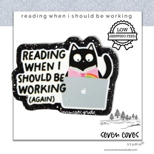 May include: A black cat sticker with the text "READING WHEN I SHOULD BE WORKING (AGAIN)". The cat is reading a book with a rainbow bookmark while sitting in front of a laptop. The sticker also has the text "seven coves studio".