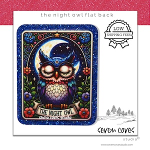 May include: A square, glitter-edged art print featuring a vibrantly colored owl with closed eyes, set against a night sky with a crescent moon. The text "THE NIGHT OWL" is displayed below the owl. The print is from Seven Coves Studio.