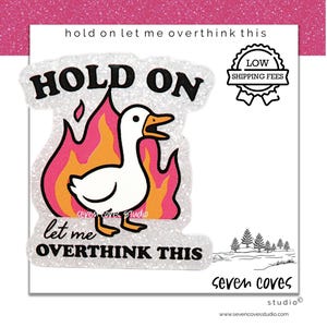 May include: A white sticker with the text "HOLD ON let me OVERTHINK THIS" and a cartoon duck in flames. The sticker has a glittery border and the words "LOW SHIPPING FEES". The sticker is from Seven Coves Studio.