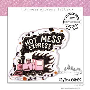 May include: A flat back with the words "HOT MESS EXPRESS" above a pink and black train illustration. The image includes a "LOW SHIPPING FEES" badge and the text "seven coves studio".