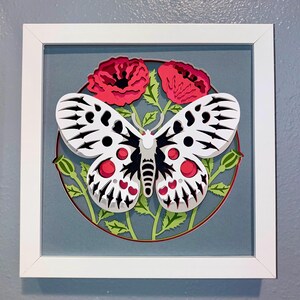 Butterfly Poppy Shadowbox: 3D Layered Floral Wall Art, 8x8 Frame