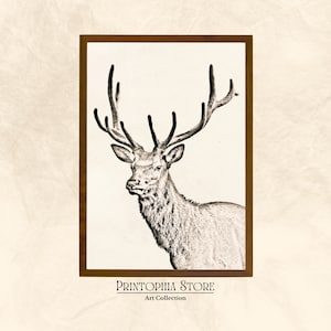 Einzigartiges Design Rustikale Hirsch Skizze, Minimalistische Winter Kunst, Druckbare Vintage Print, Zeichnung Stil Cottage Dekor, Digitale Kunst | SK#2