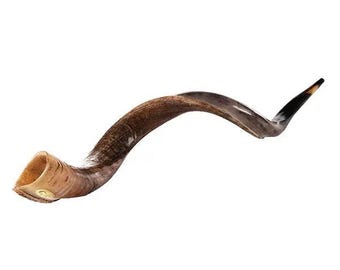 Kudu Shofar 27"-31" / 70-79 cm - MADE IN ISRAEL