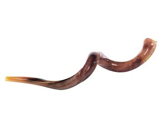Kudu Shofar 31"-35" / 80-89 cm - MADE IN ISRAEL