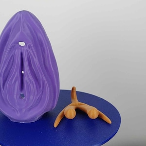 Customizable Anatomically Correct 3D-Printed Vulva and Clitoris Model - Educational Art Piece and Unique Home Decor