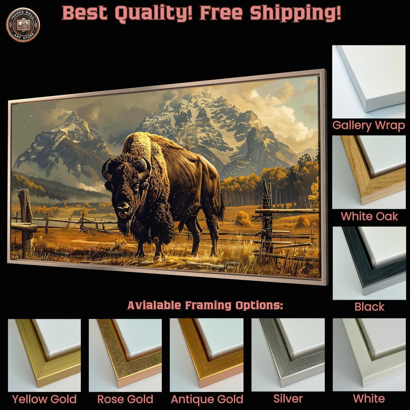 Bison Grazing in Fields Framed Canvas Print Snowy Mountains Landscape ...