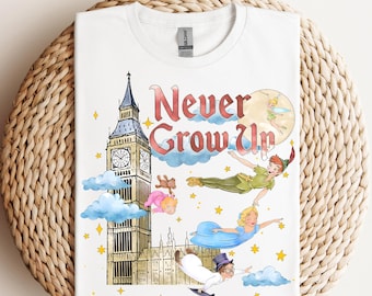 Peter Pan Never Grow Up DTF Transfer,Disney Peter Pan Ready To Press,Tinker Bell DTF,Peter Pan Heat Transfer,Disneyland 2026 Family Trip DTF