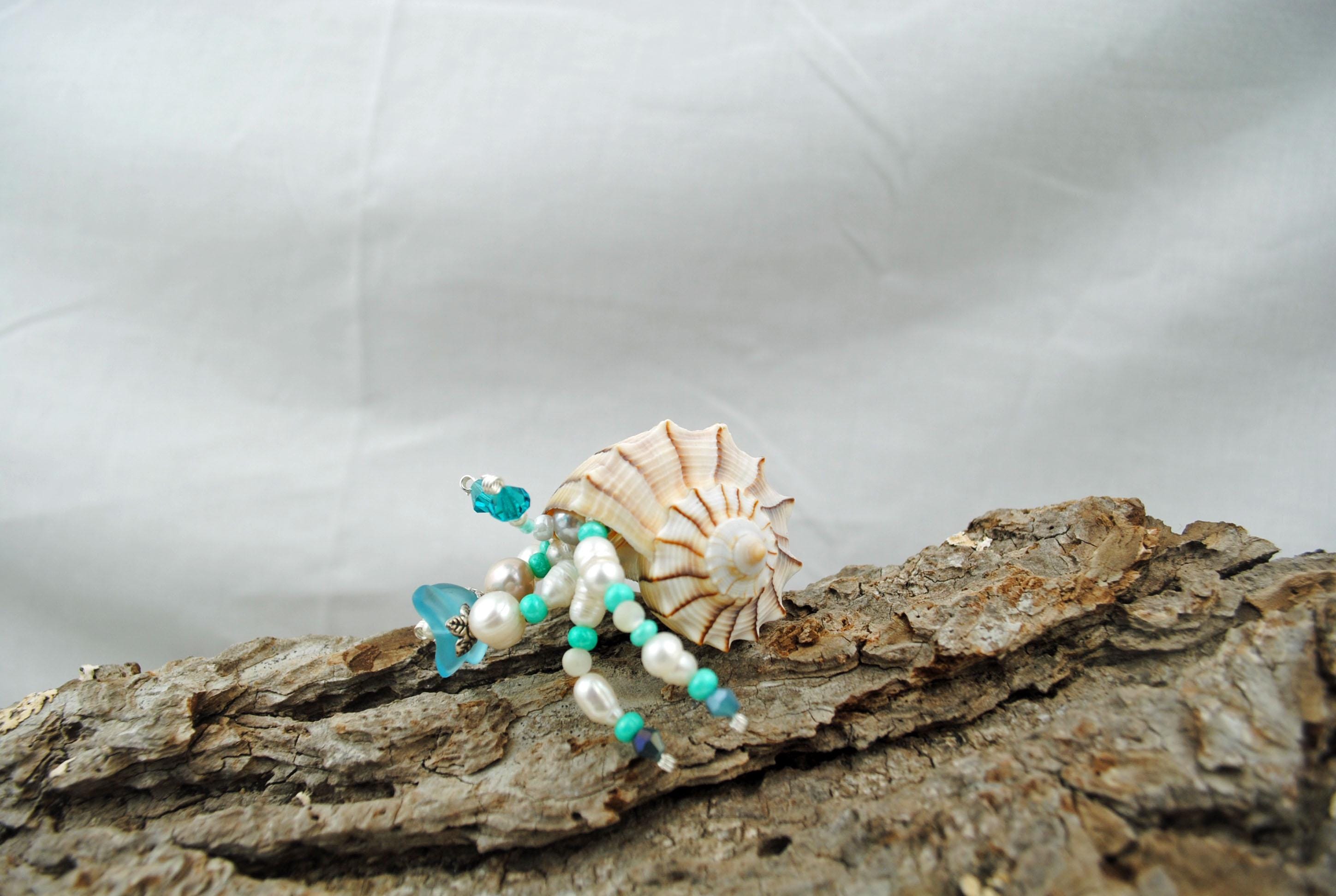 Original Local Shell Seashell Chincoteague Island Virginia Lighting ...