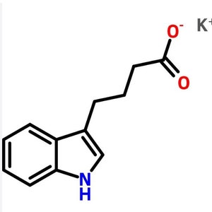 Indole Butyric Acid Water soluble IBA-K 99% CAS#60096-23-3