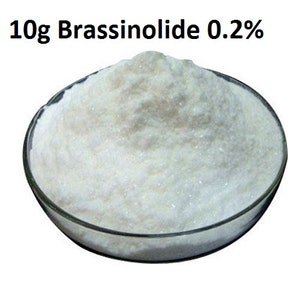 10g Brassinolide 0.2% Plant Hormone Growth Regulator CAS#78821-43-9