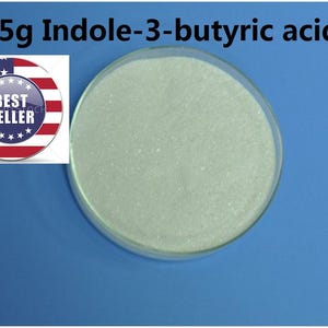 25g Indole-3-butyric acid powder 98.5% free shipping