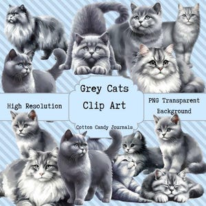 Grey Cats Digital Clipart, Whimsical Cat Poses, Watercolour, Junk Journal Supply,  Cards, Craft Supply, Felines, Fur Baby