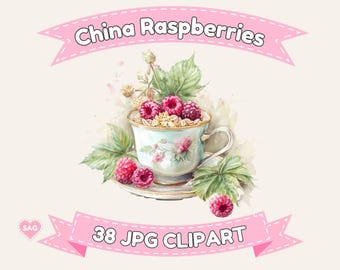 Conjunto de imágenes prediseñadas de frambuesas chinas / Ilustraciones vintage de frambuesas y ortigas chinas / 38 imágenes JPG de 3600 píxeles