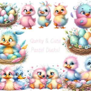 Clipart digital de patos pastel fofos e peculiares, patos caprichosos, pássaros peculiares, gráficos de pato, adesivos, clip art, imagens de planejador, chique gasto