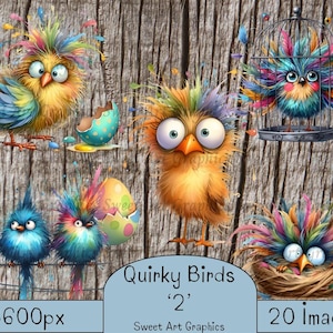 Quirky Birds Clipart: Colorful Scruffy Bird PNG (Digital Download)
