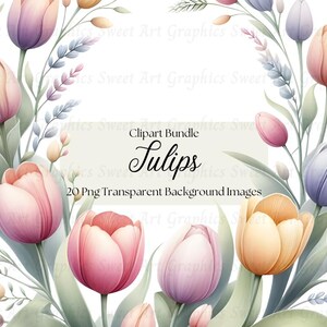 Tulips Digital Png Transparent Background Clipart, Floral Clipart, Tulip Flowers, Dutch Flowers, Clipart, Colorful Floral Graphics, Cards