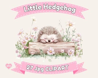 Hedgehog Digital Paper, Woodland Scrapbook Graphics (Digital Download